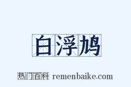 白浮鸠是什么意思的图片